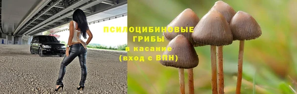 прущие крисы Алексин
