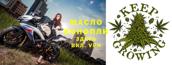 тгк Алзамай